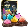NATIONAL GEOGRAPHIC Mega Crystal Growing Lab - 8 Colors to Grow with Night Light Display Stand!