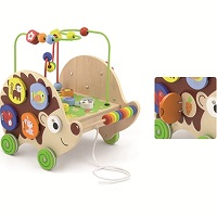 6-in-1 Pull-along Activity Hedgehog