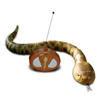 RC Rattlesnake